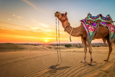 Rajasthan 14 Days Tour